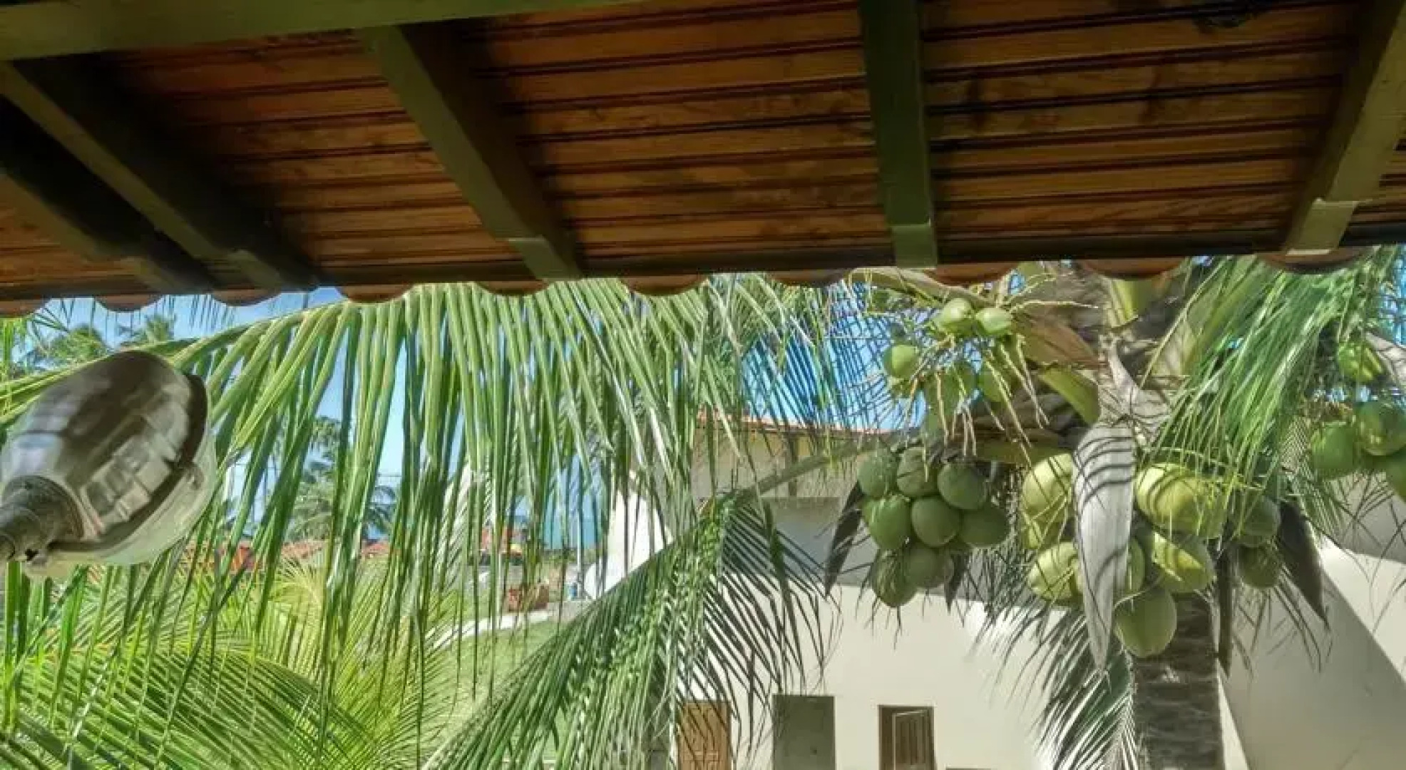 Condomínio Golfinhos