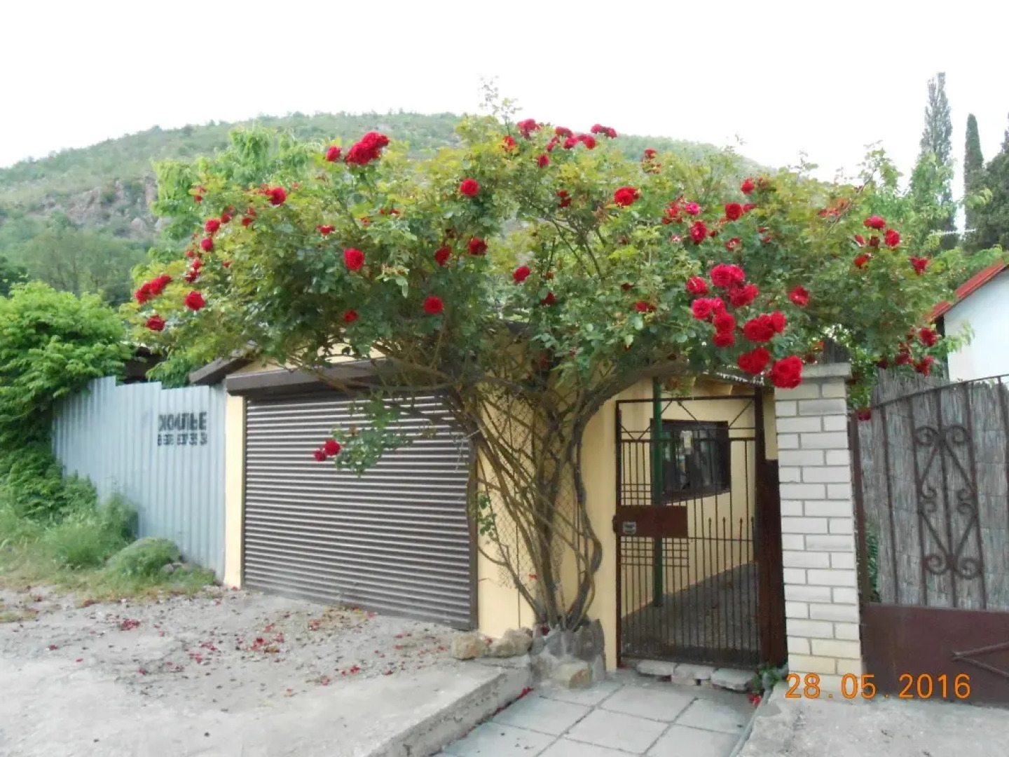 Two Floor Cottages in Lazurnoe