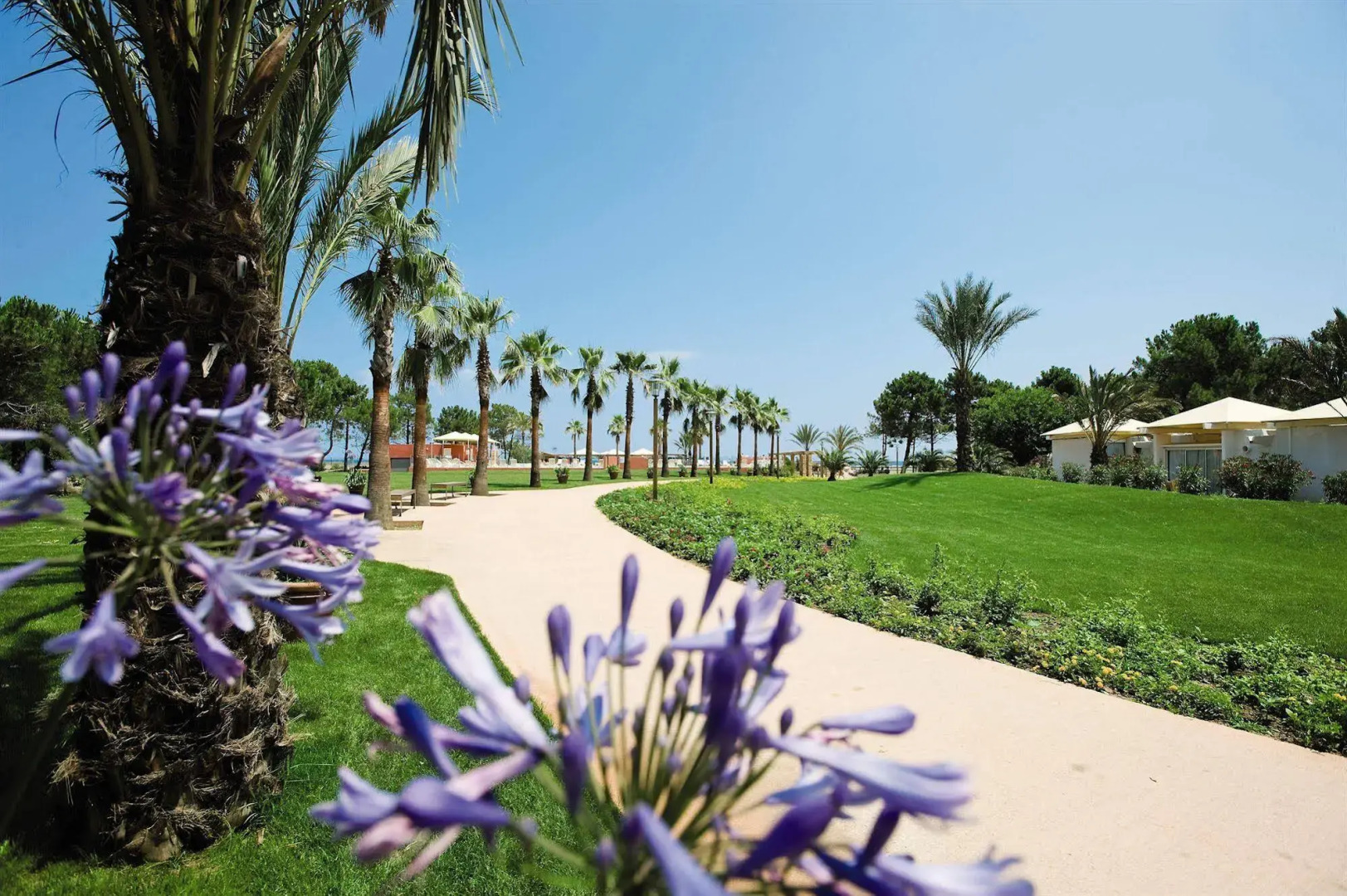 Club Belambra Borgo Pineto