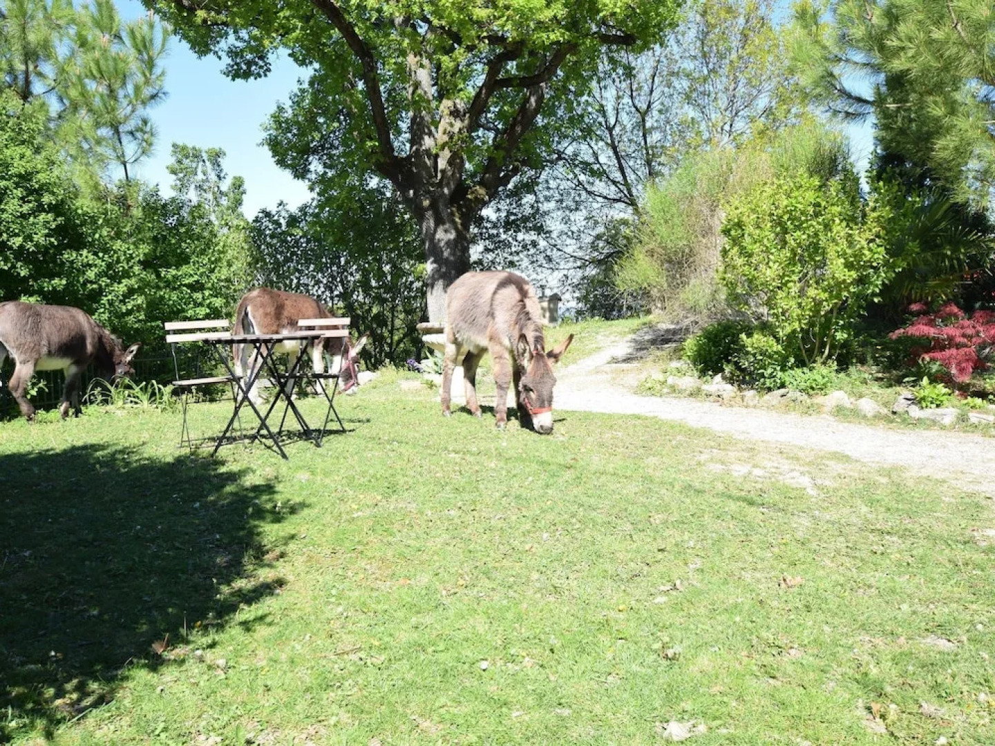 Characteristic Appartement With Swimming Pool, Completely Renovated