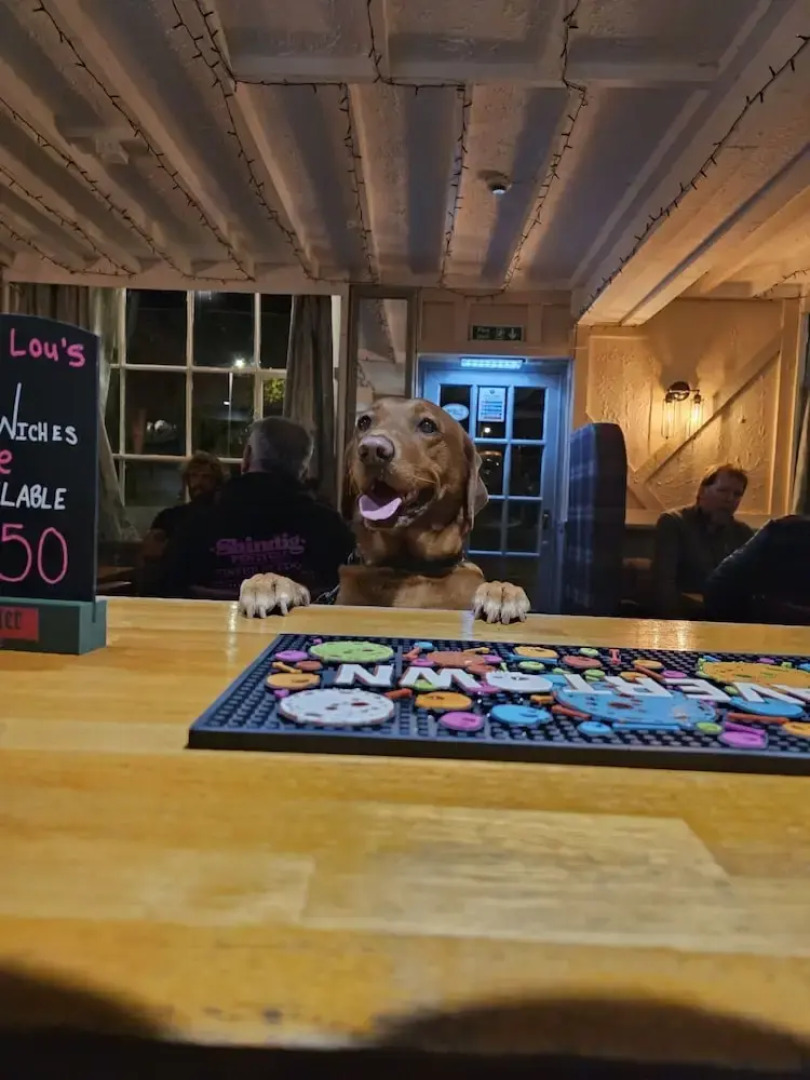 Dog and Partridge Inn