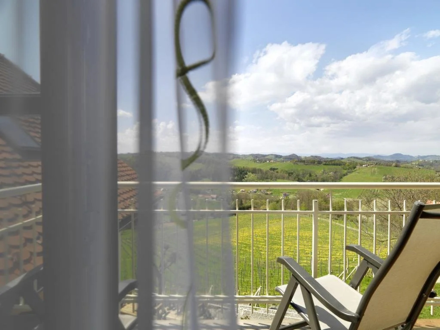 Weingut Skoff Original