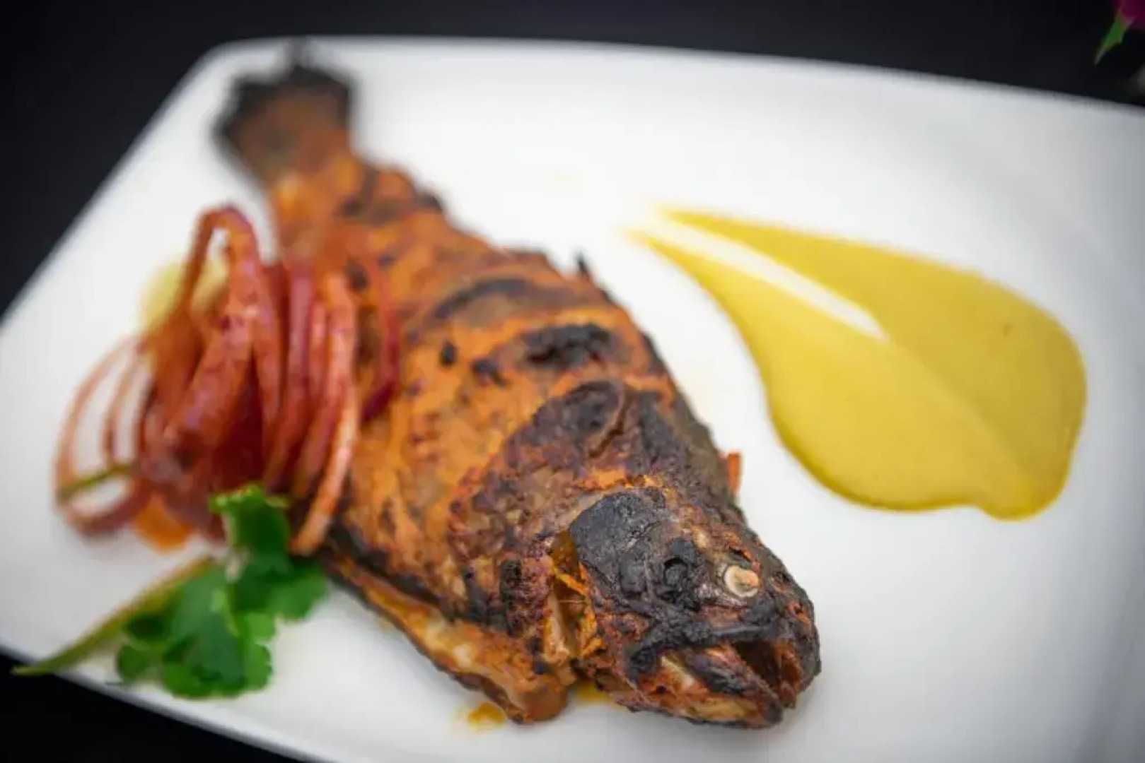 Radisson Blu Resort Dharamshala