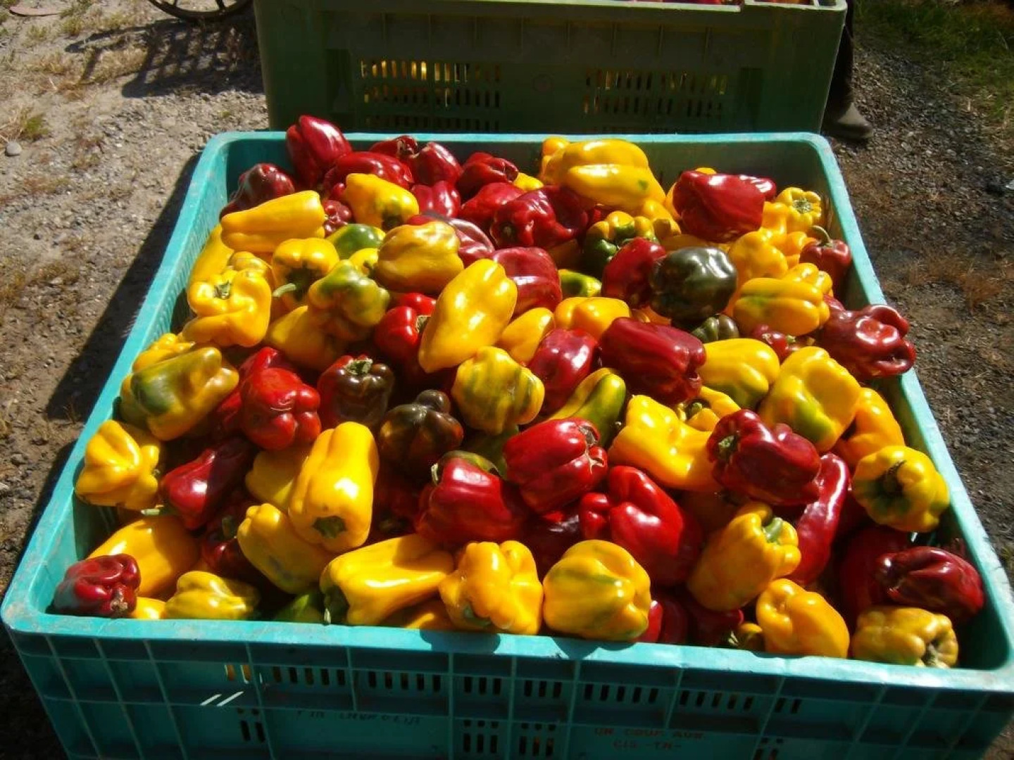 Agriturismo La Desiderata