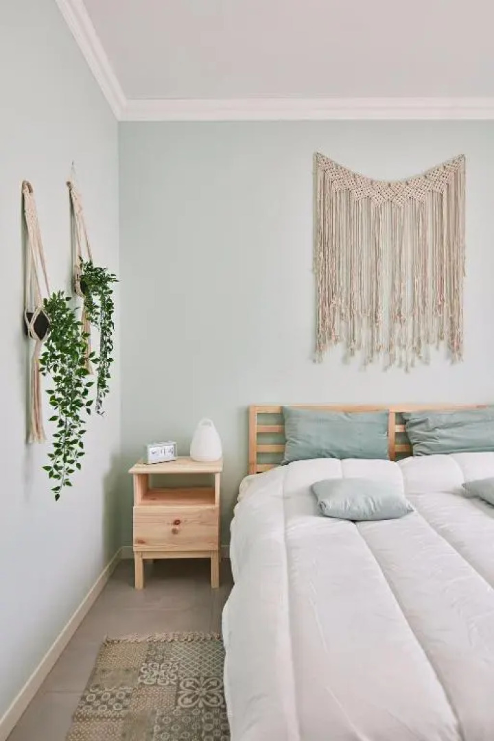 “Cotton Candy” Near Venice