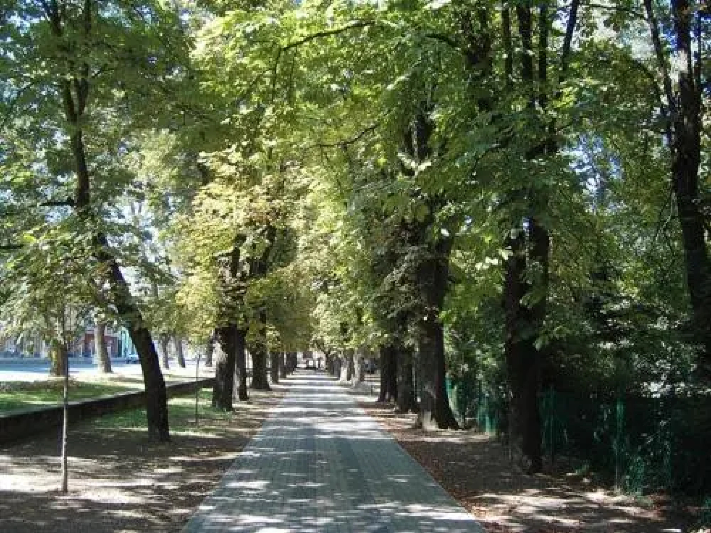 Viktória Wellness Hotel
