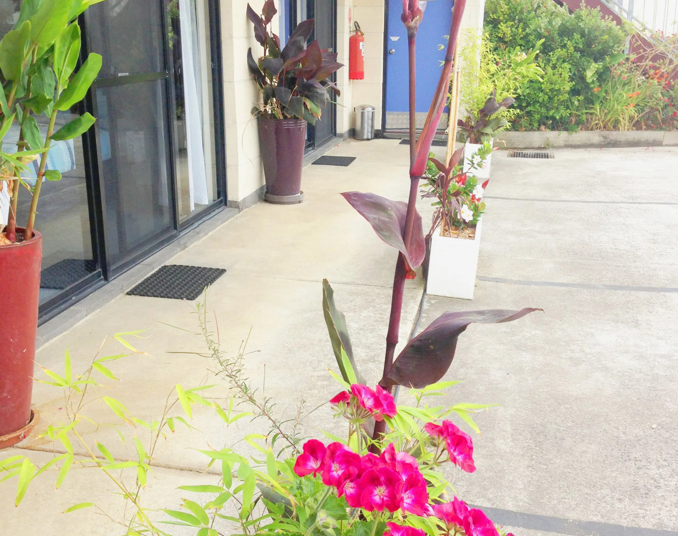 Apollo Bay Waterfront Motor Inn