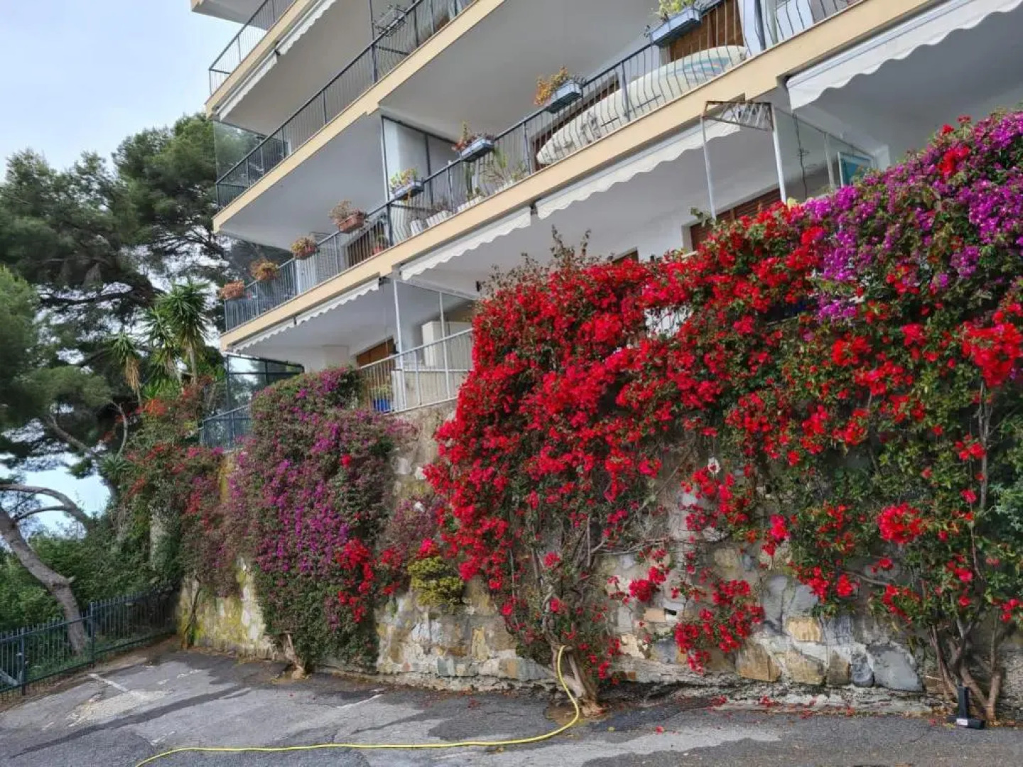 Rocce di Capo Mimosa - Cervo
