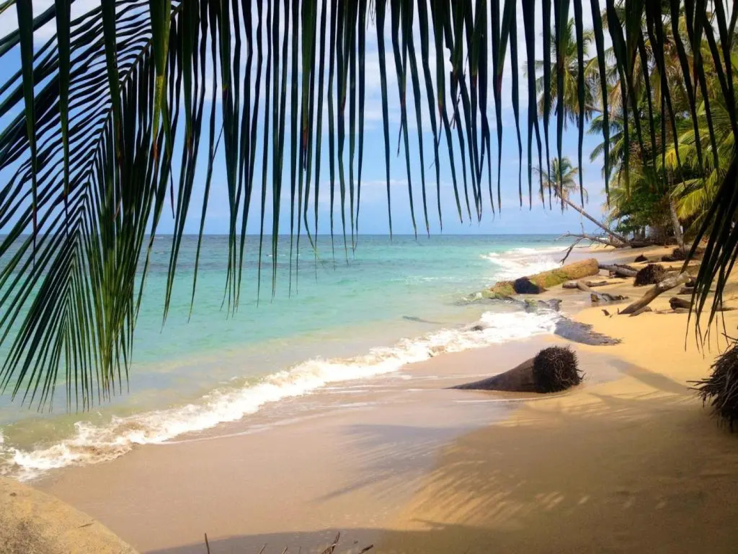 Physis Caribbean Bed & Breakfast