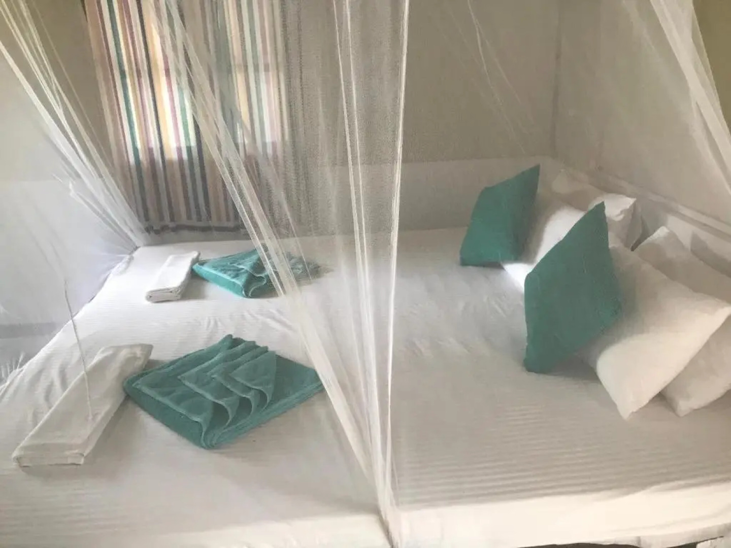 Salt Bay Kite and Dive Resort