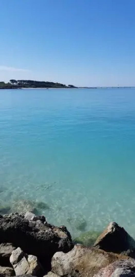 Agriturismo il Tripesce