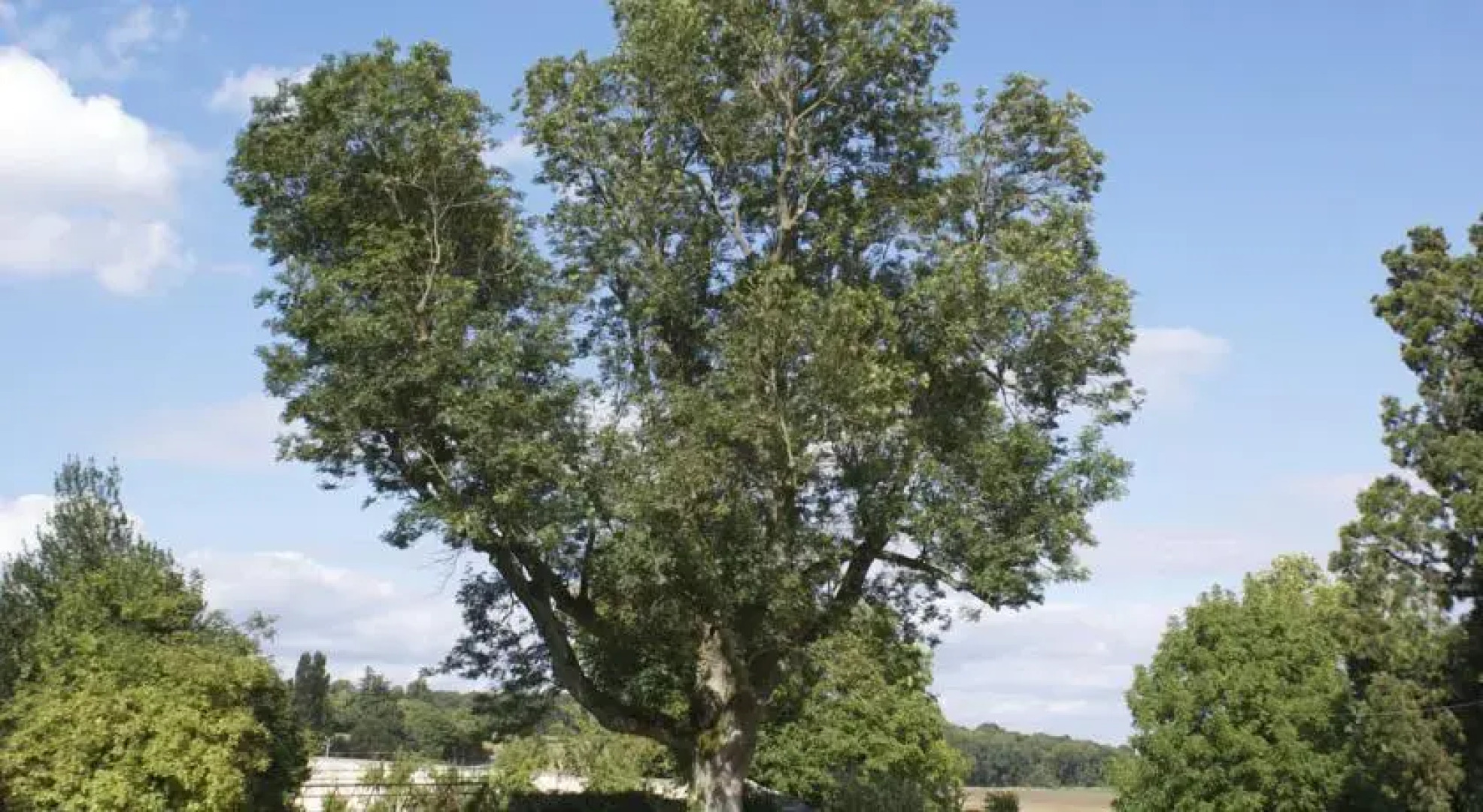 Chateau De Requiecourt