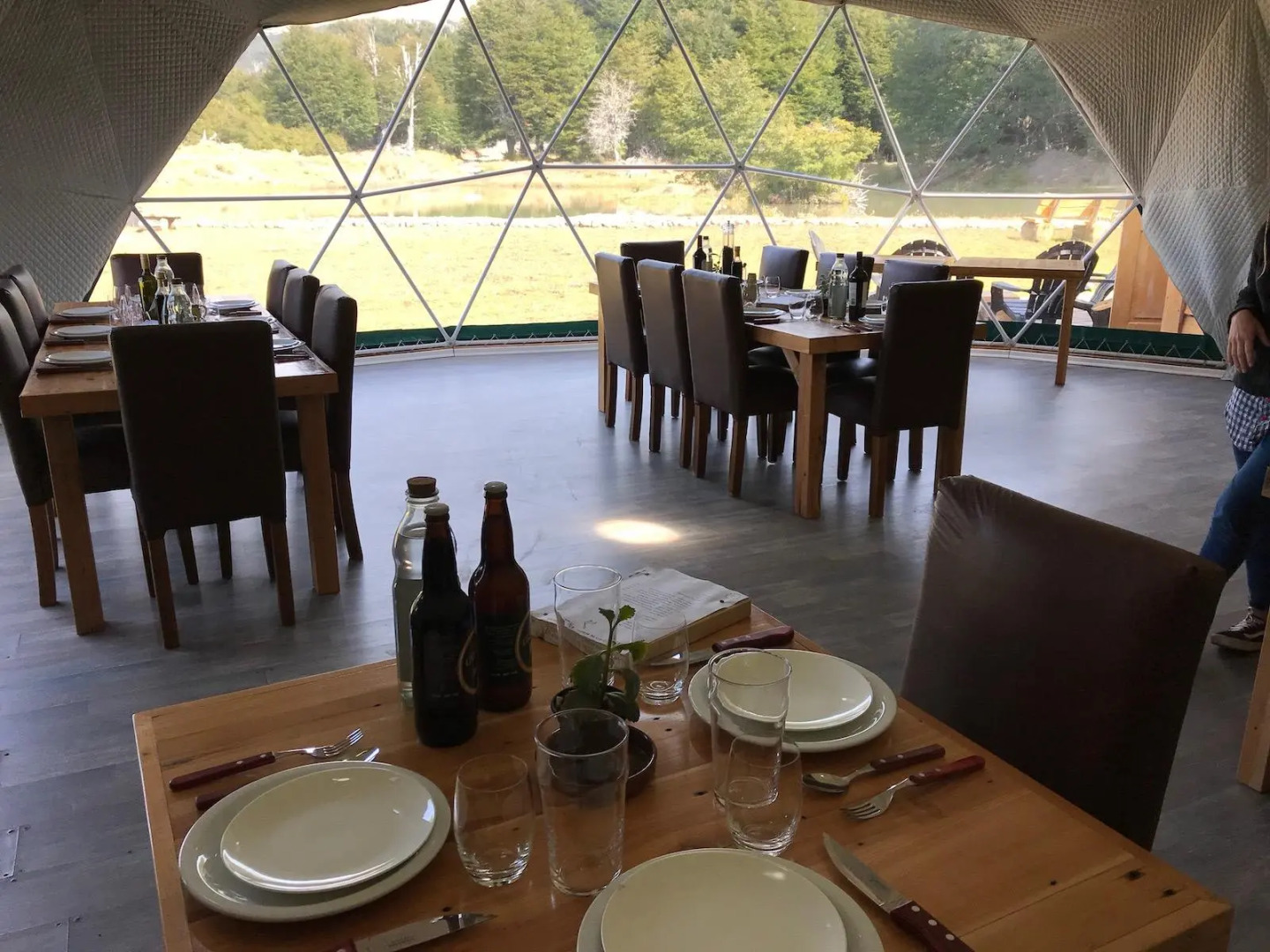 Huemules Reserva de Montana