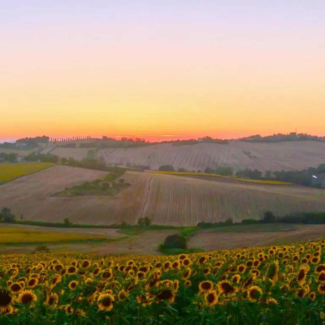 Appartamento Fontebella