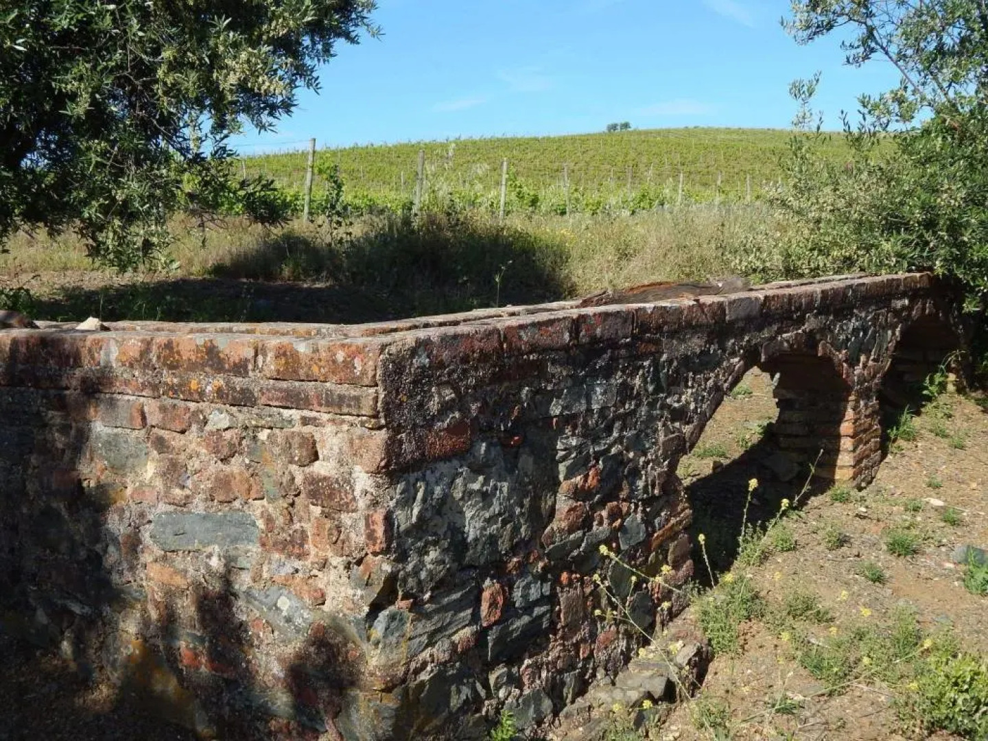 Quinta das Ratoeiras