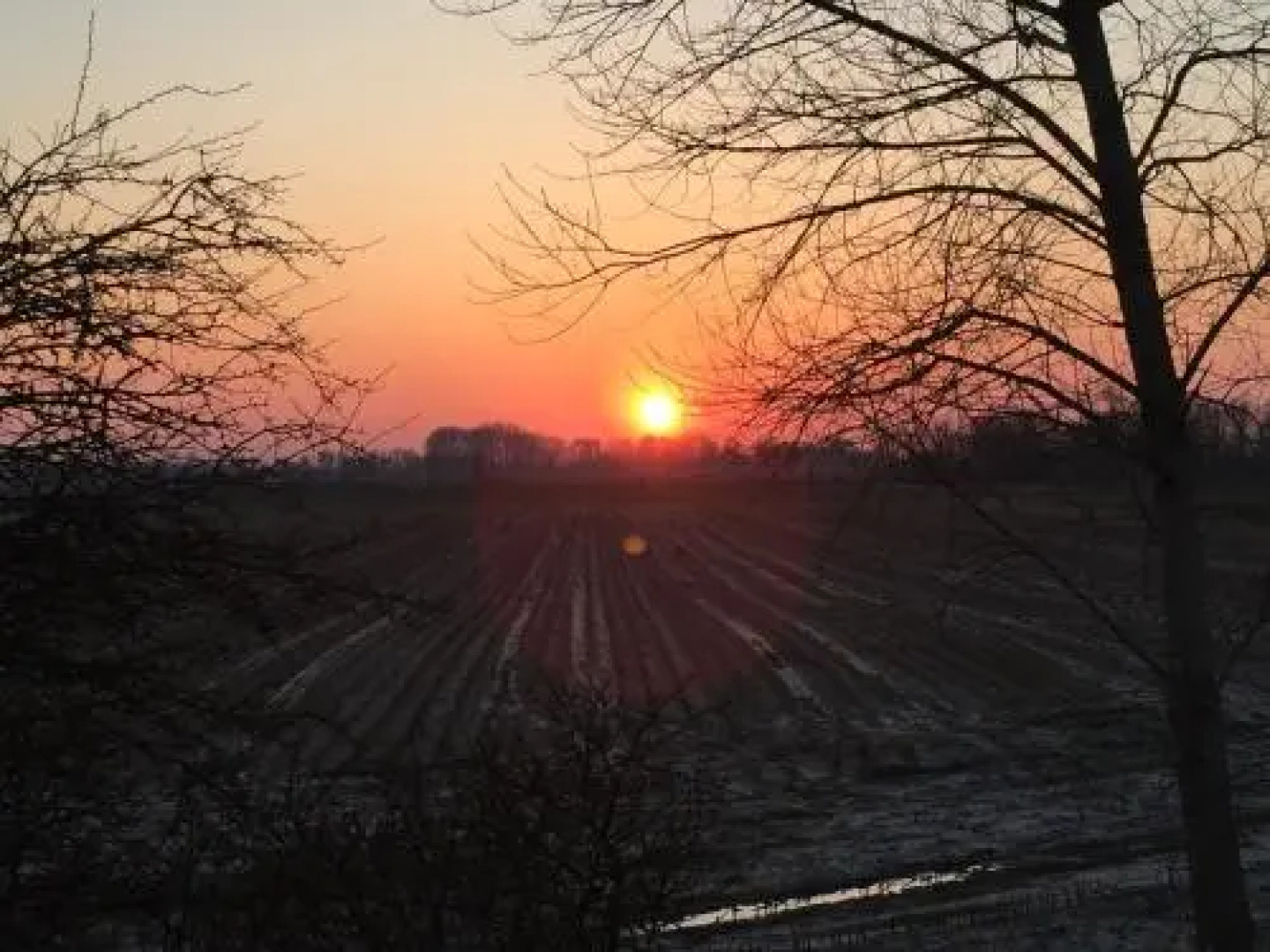 Ferienhaus-Hemmerdeich