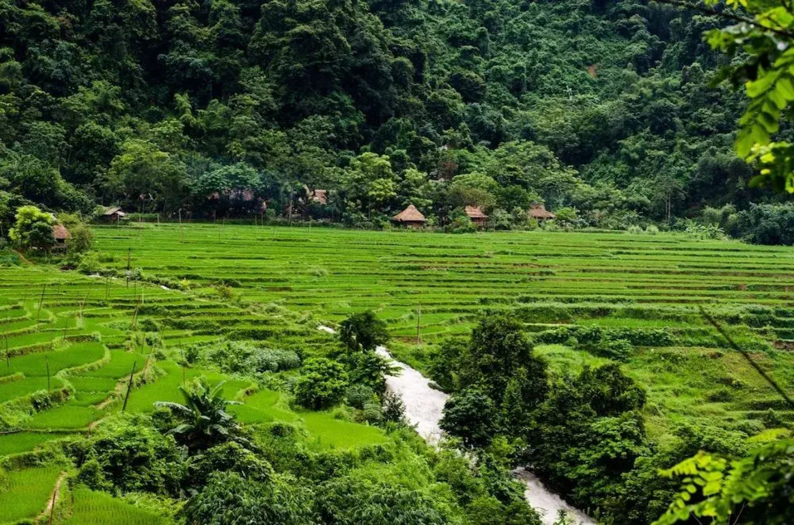 Pu Luong Nature Lodge 2 Hieu Village - Hostel