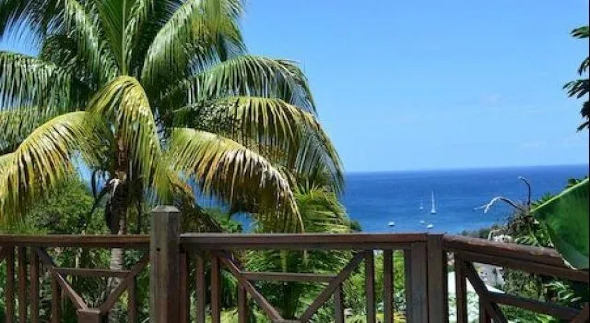 Résidence Les Hauts de Deshaies