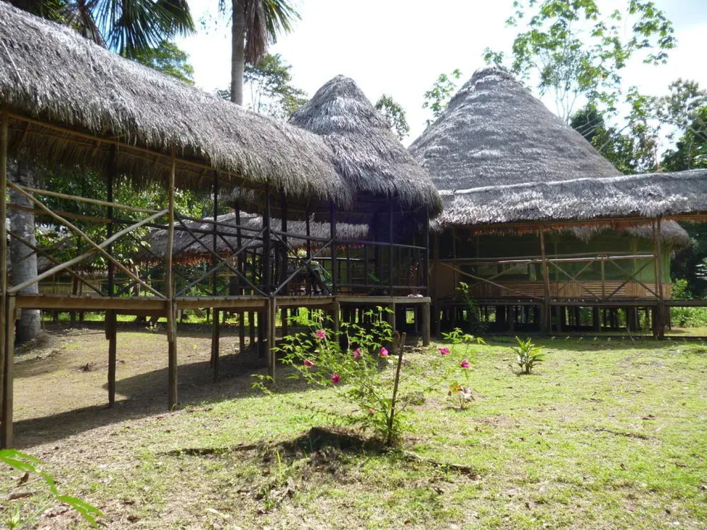 Amazon Yanayacu Lodge
