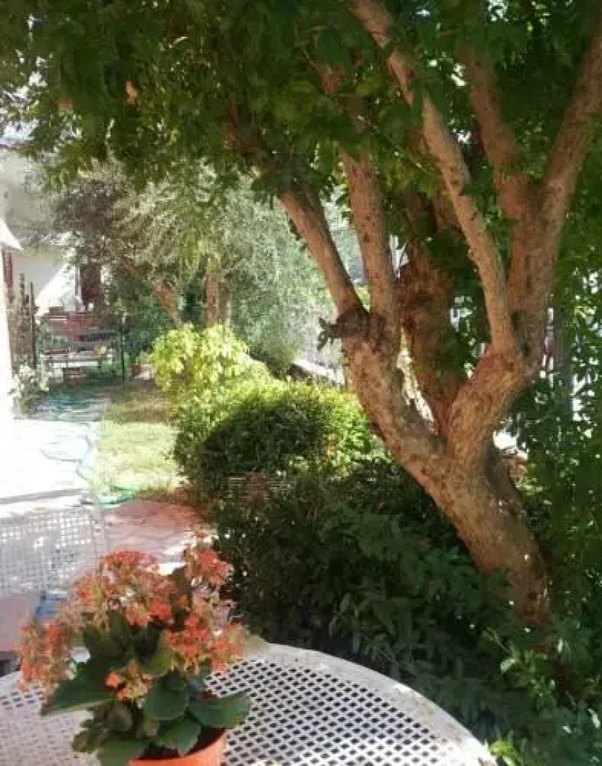 Bed&Breakfast I Pirami