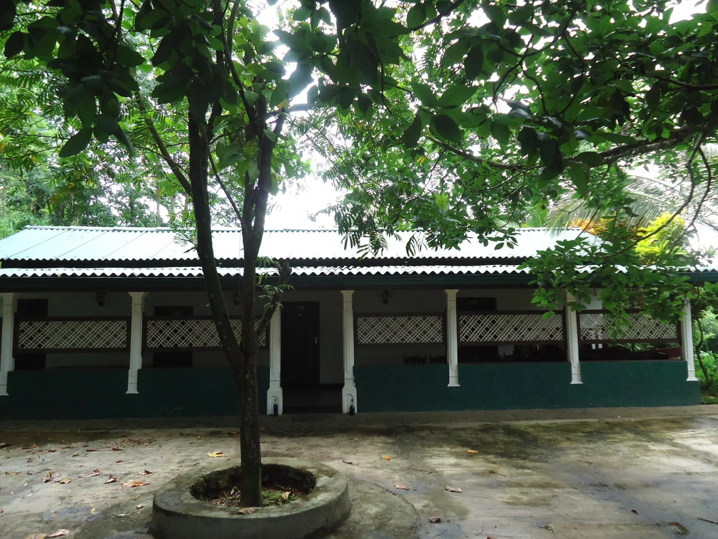 Amico Restaurant And Bar