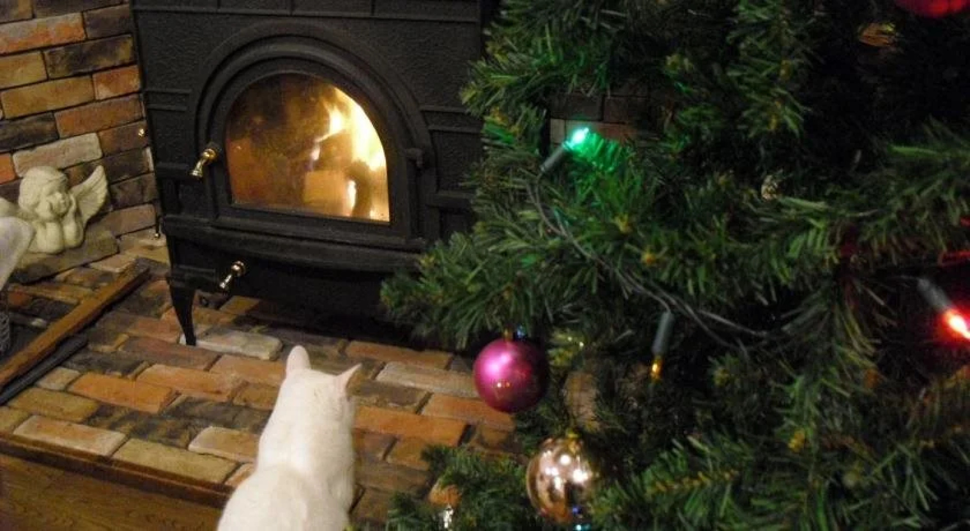 Natural House Pure 21