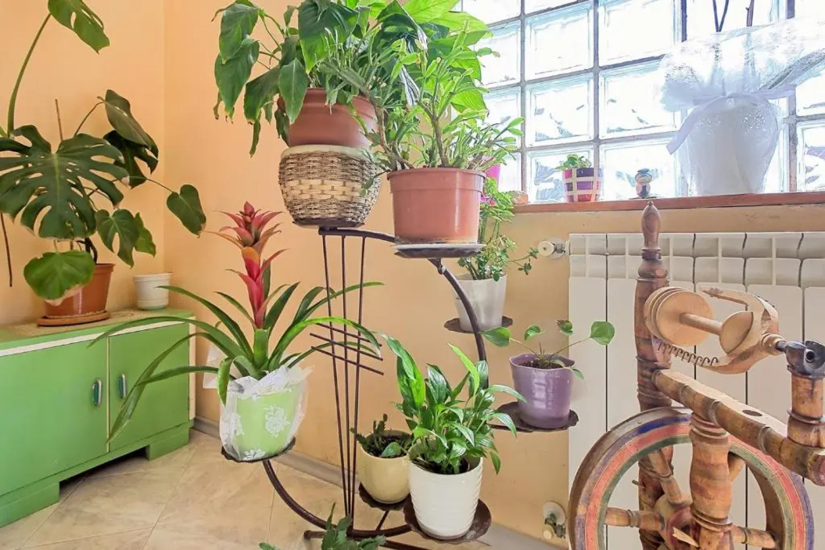 Eva House with Apartment