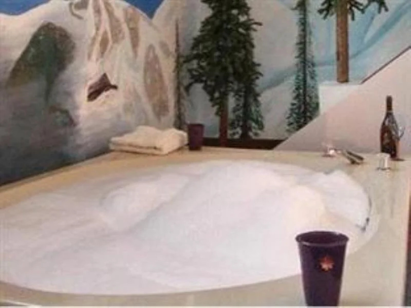 Winterwood Townhomes Win08 2 Br Condo by RedAwning