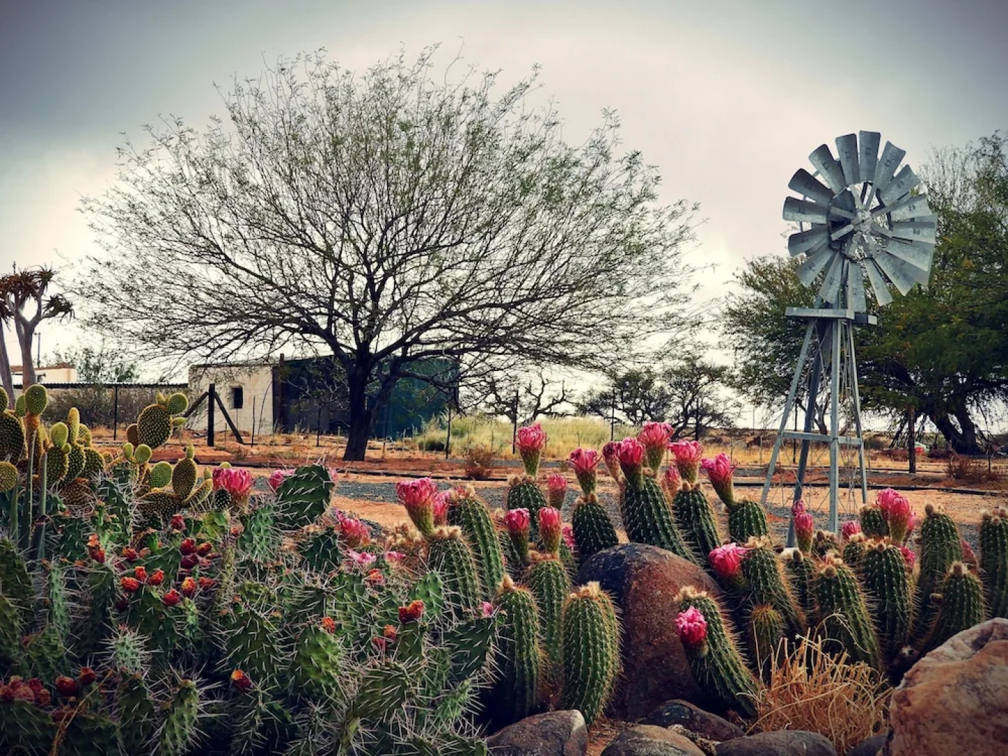 Grunau Country Hotel