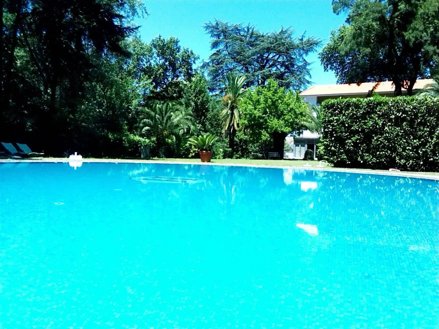 Hotel Grão Vasco Historic Hotel & Spa