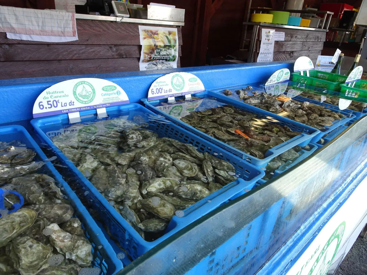 Bungalow in Gouville-sur-mer Near Beach