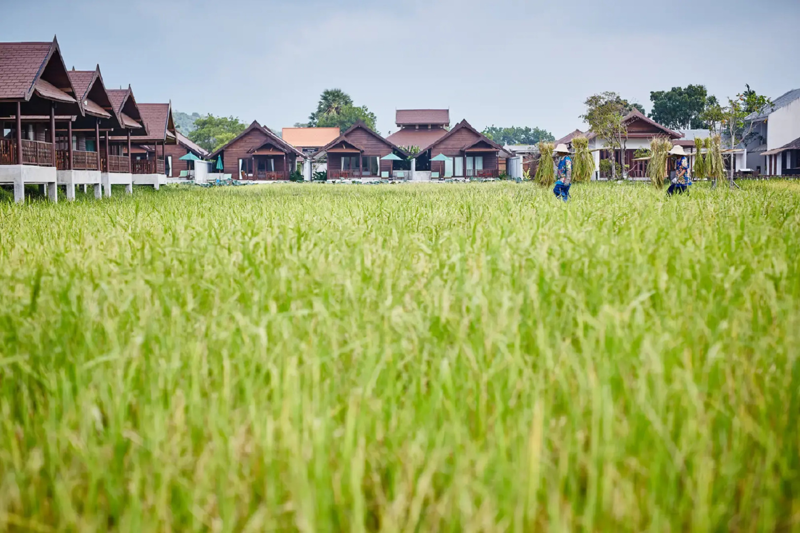 Farmer's Boutique Resort