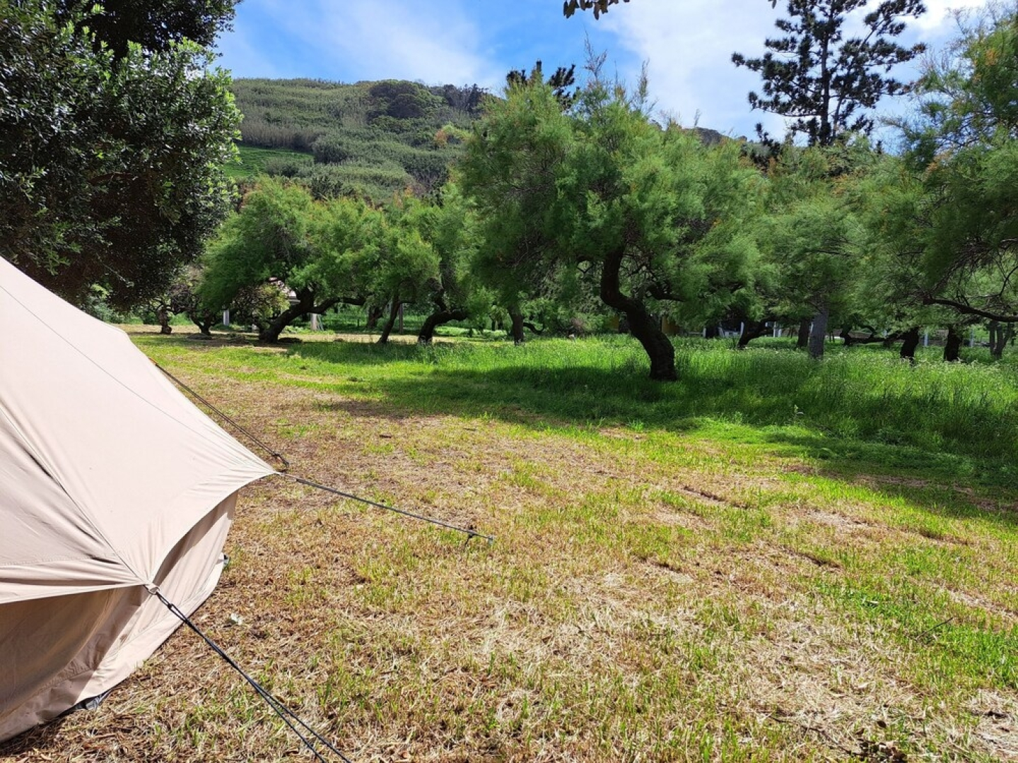 Bearsu Nature Almoxarife