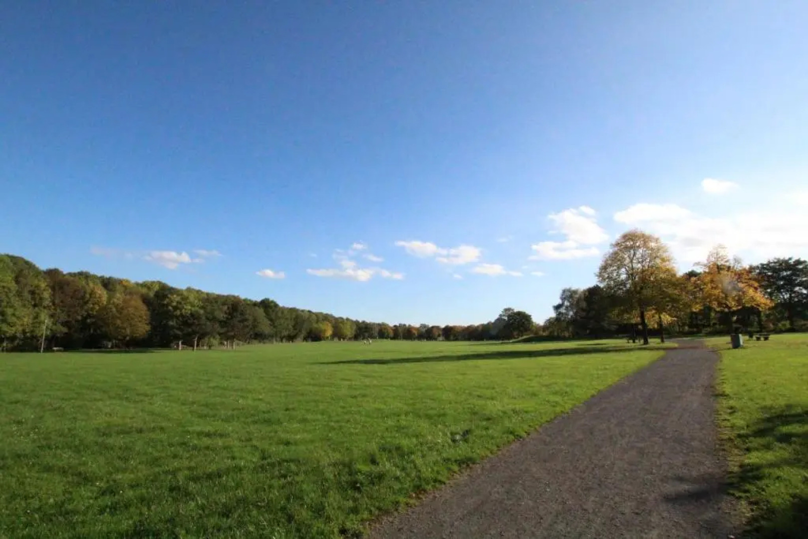 Apartment Wesseling Nauerz