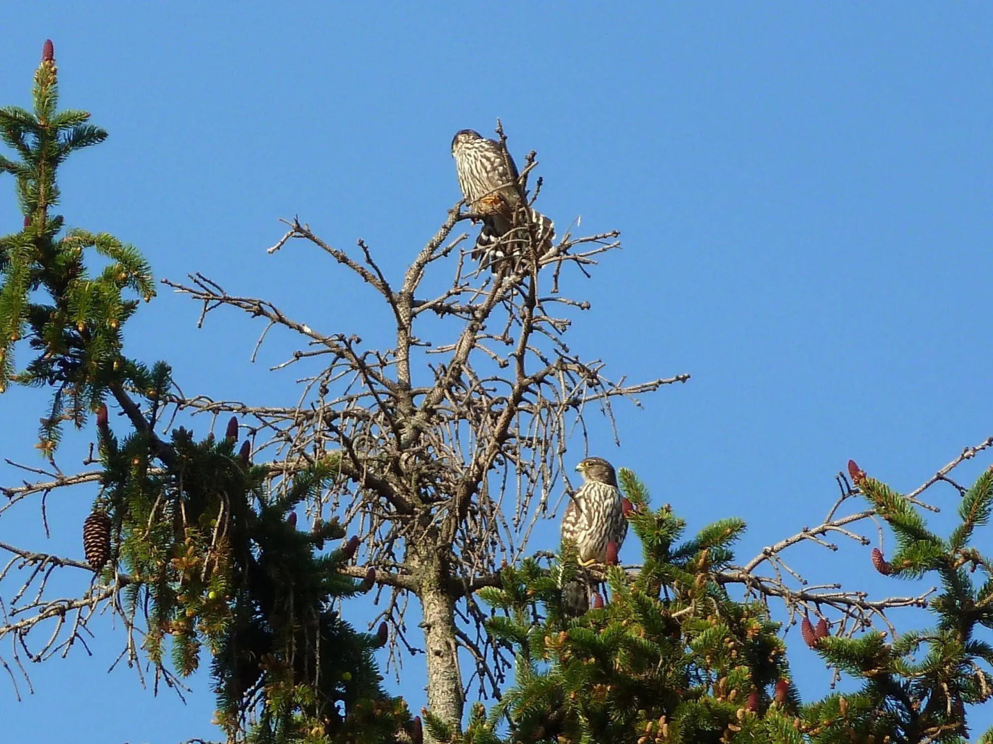 The Old Rectory Bed and Breakfast