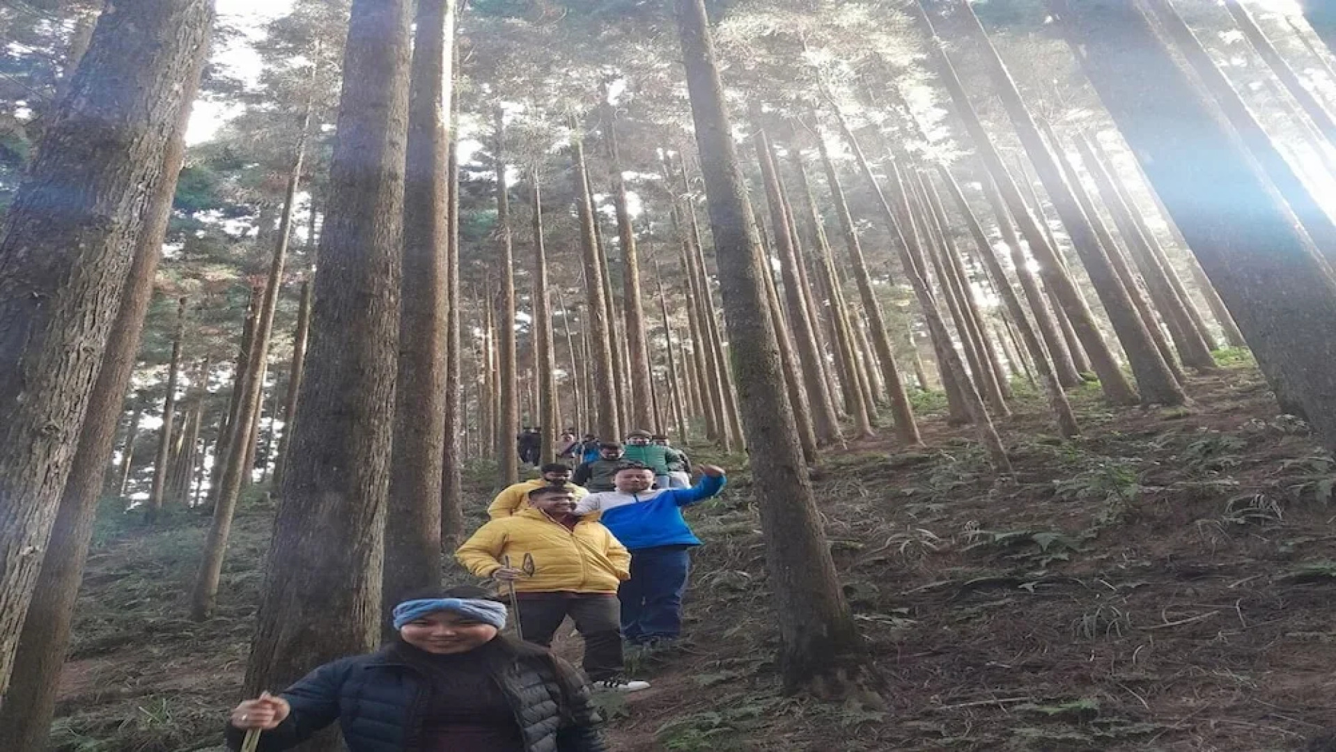 Amaira Resort & Farms - Mirik, West Bengal