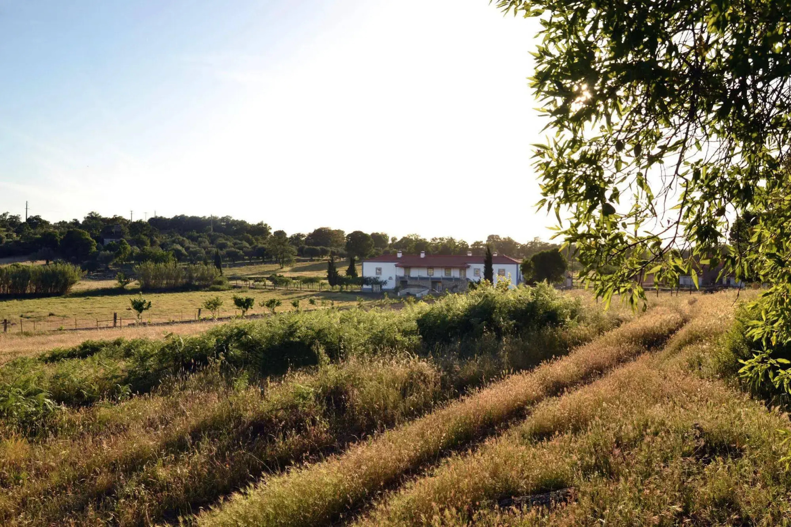 Quinta dos Carvalhos