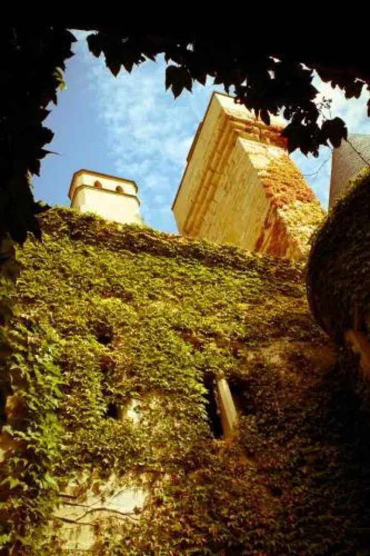 Hotel Restaurante Casa Zanito