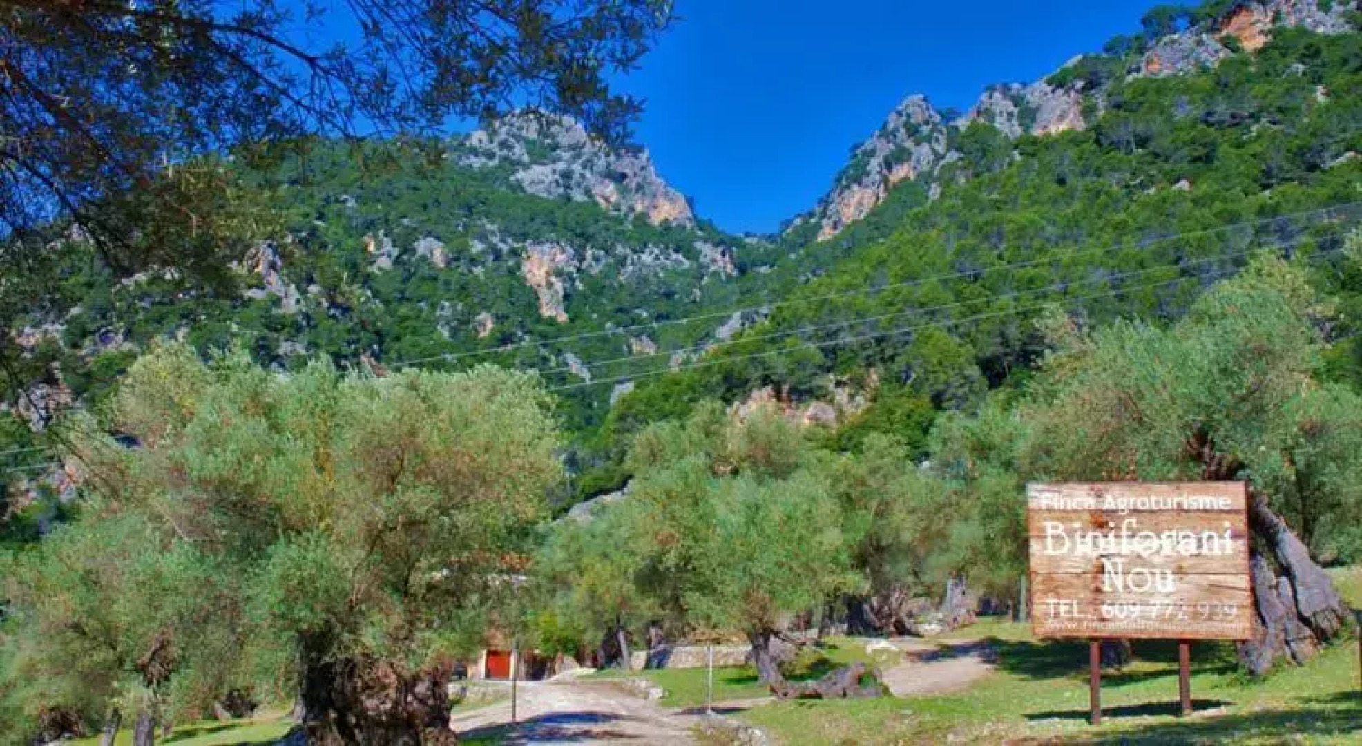 Finca Biniforani Nou