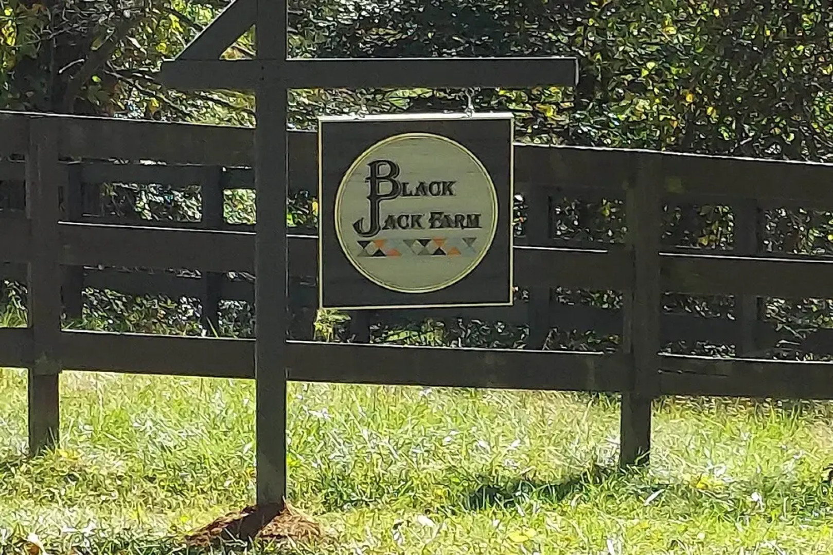 Rustic & Authentic Farm Stay by Dupont Forest!