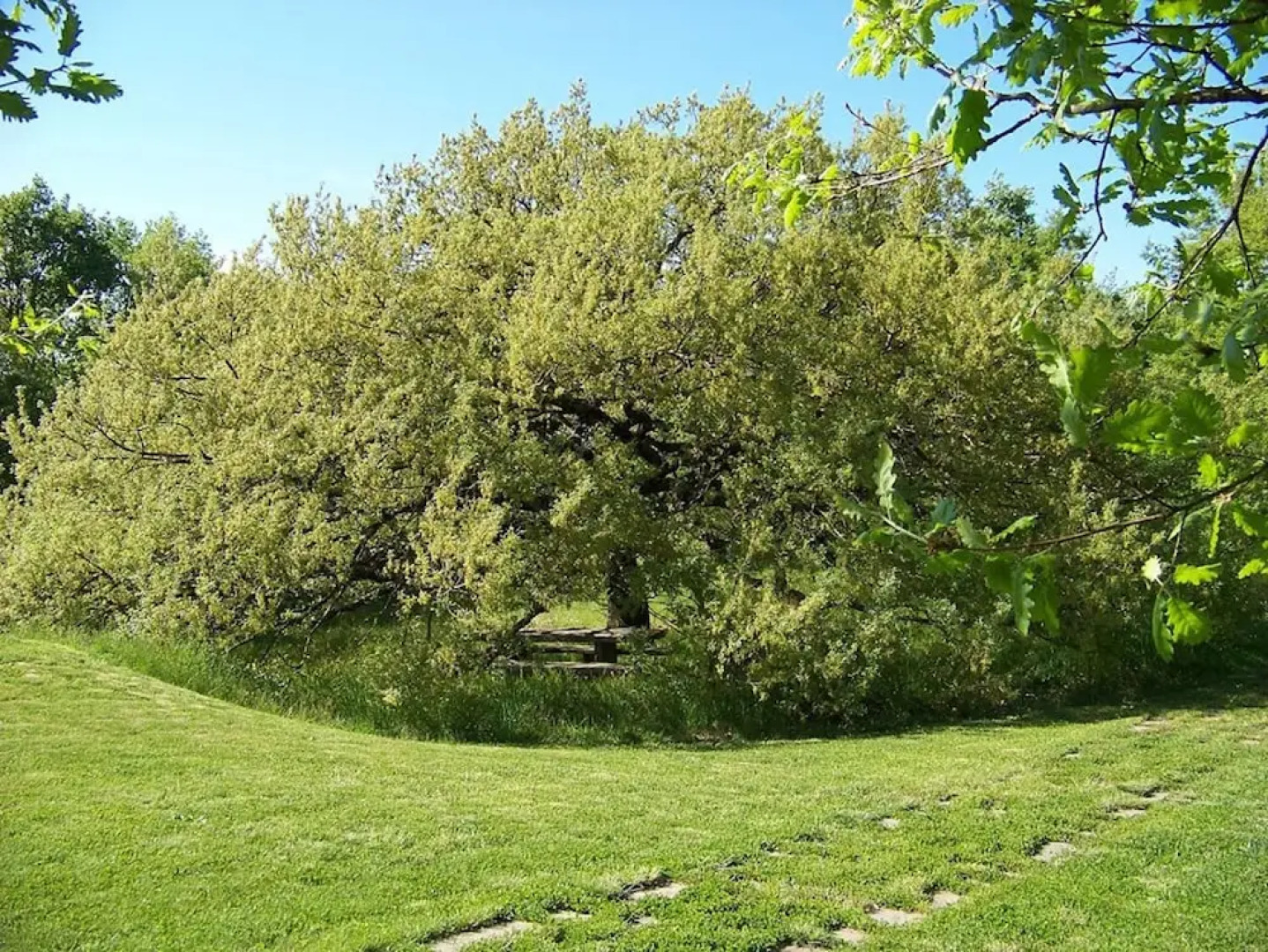 Villa Collina delle Rose