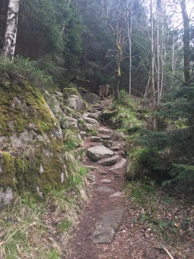 Blockhaus an der Skiwiese Braunlage