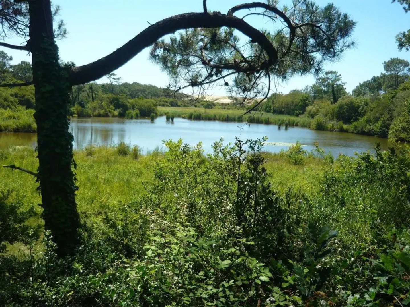 Appartement Vieux Boucau