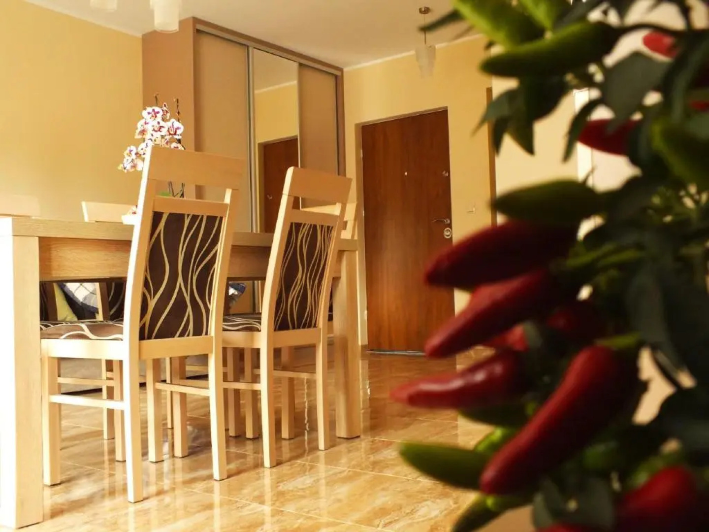 Apartamenty u Romy - Mocha