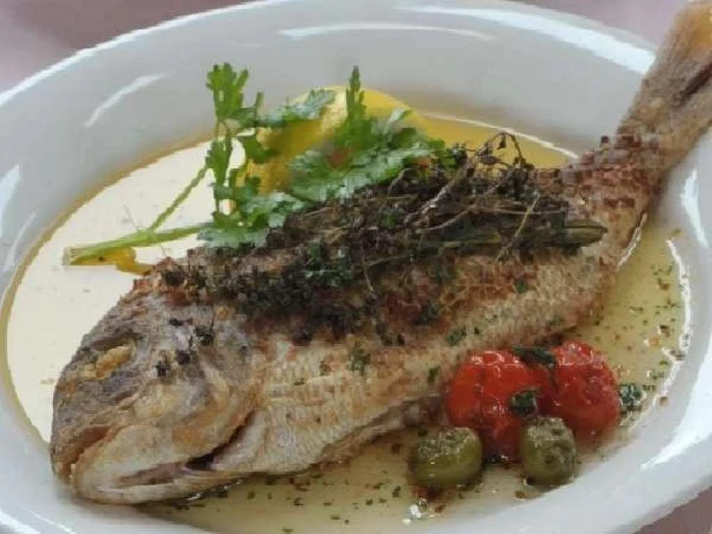 Country Inn The White Marine