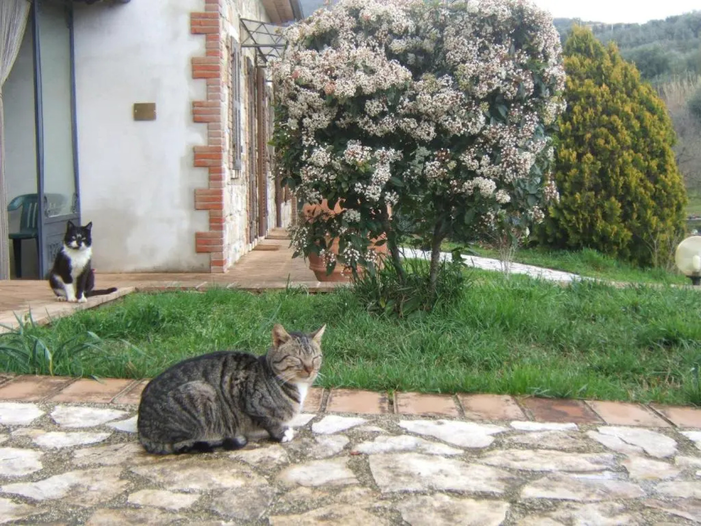 Agriturismo Casa Fibbianello