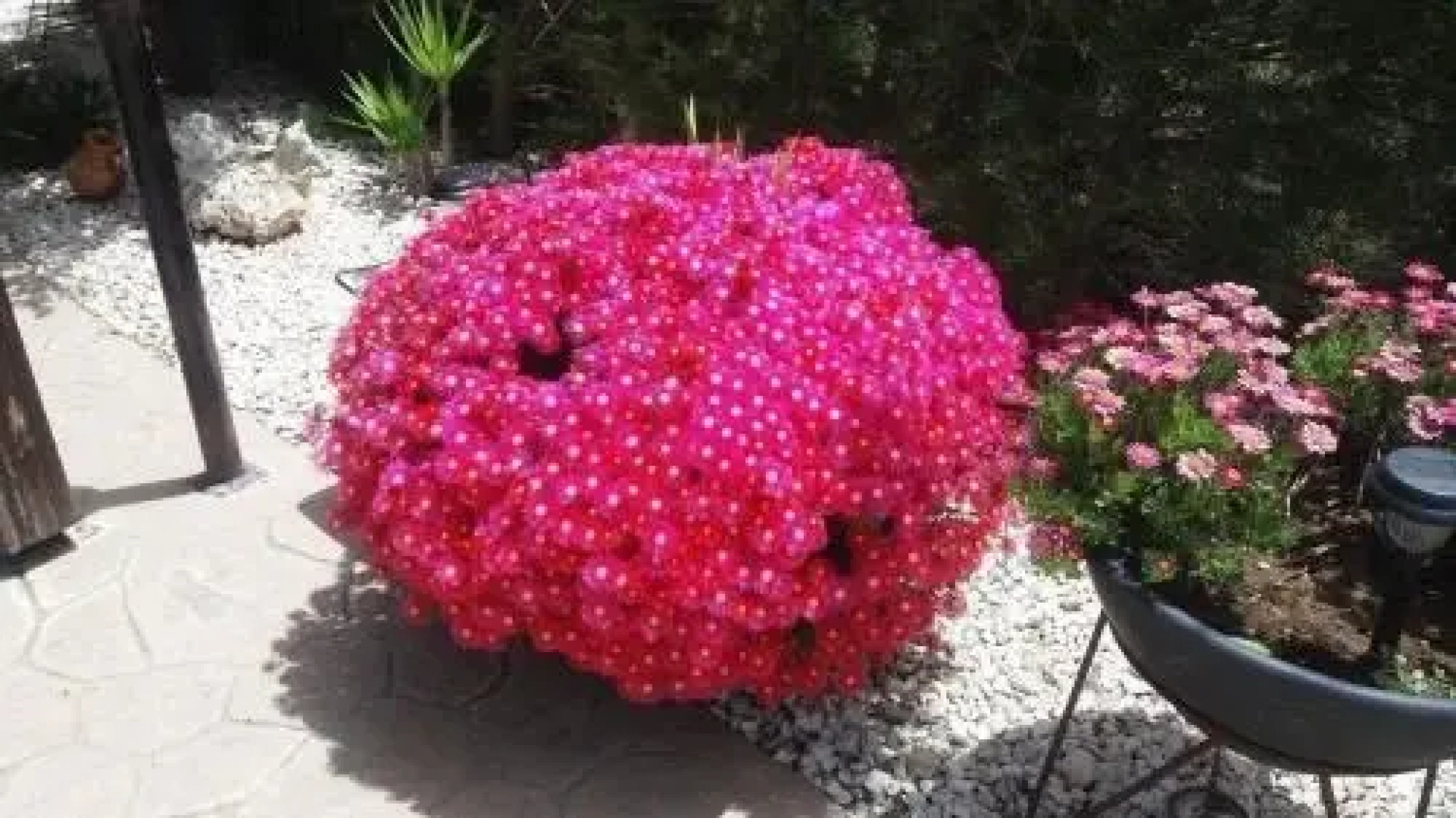 Sofros Valley Hills Chalet