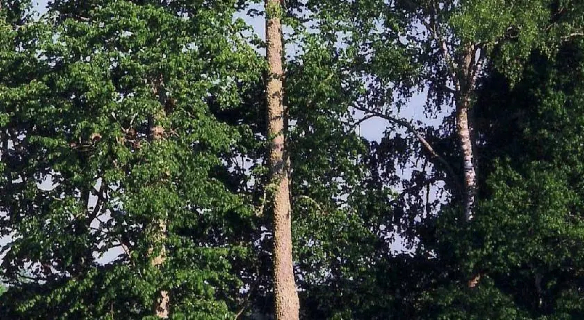 Guest House Ružciems