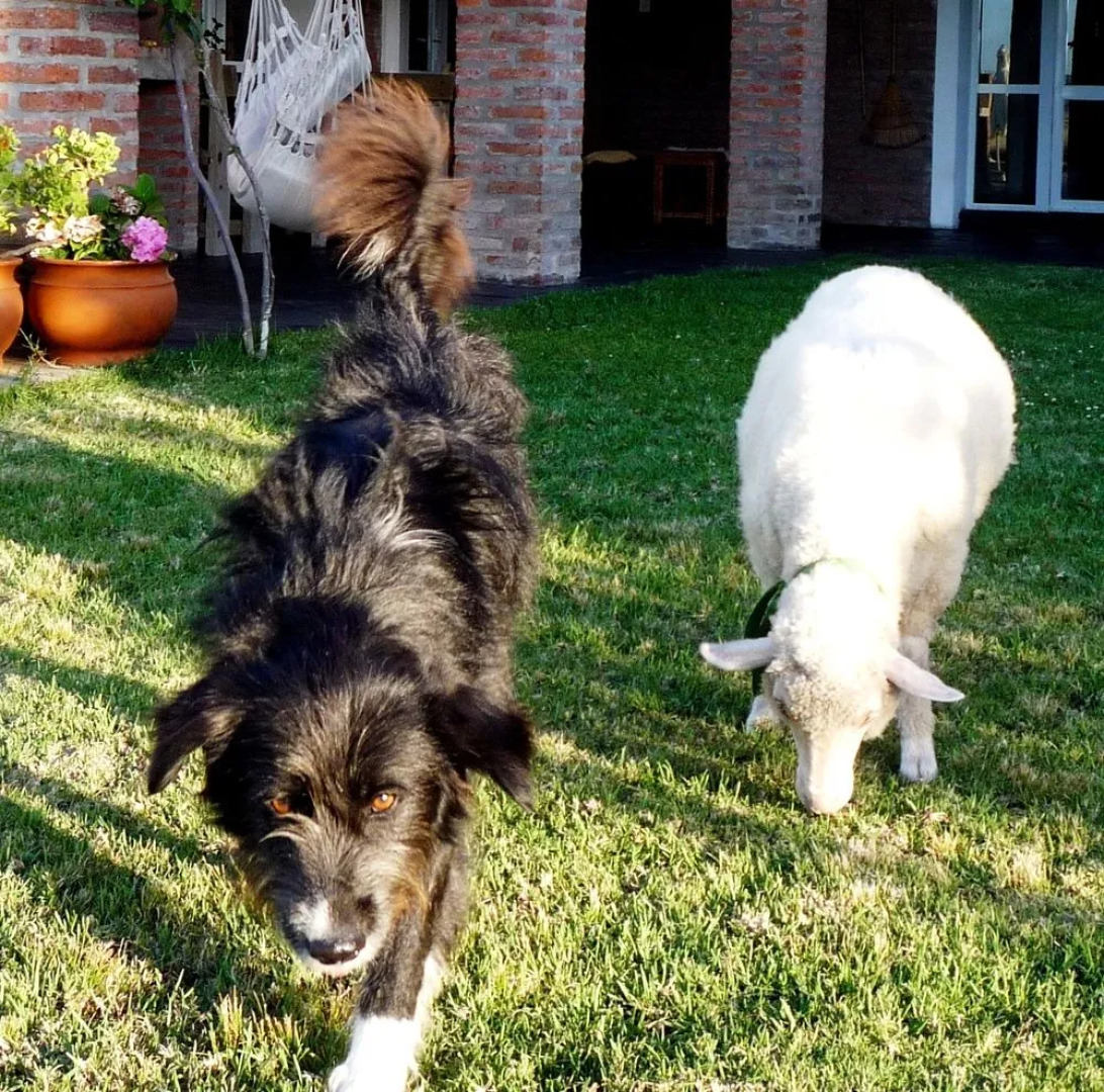 Miradores de la Laguna Garzón