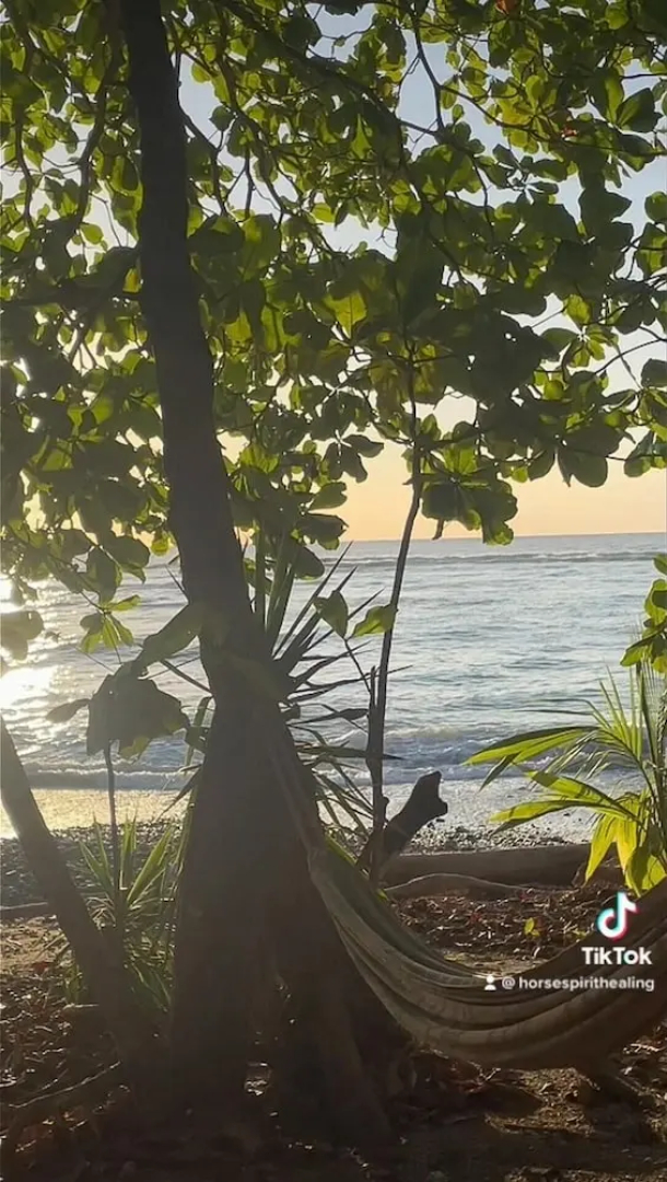 Surrounded By Trees In Front Of The Sea